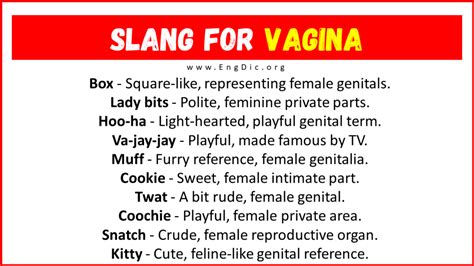 spanish slang for pussy|Slang for vagina .